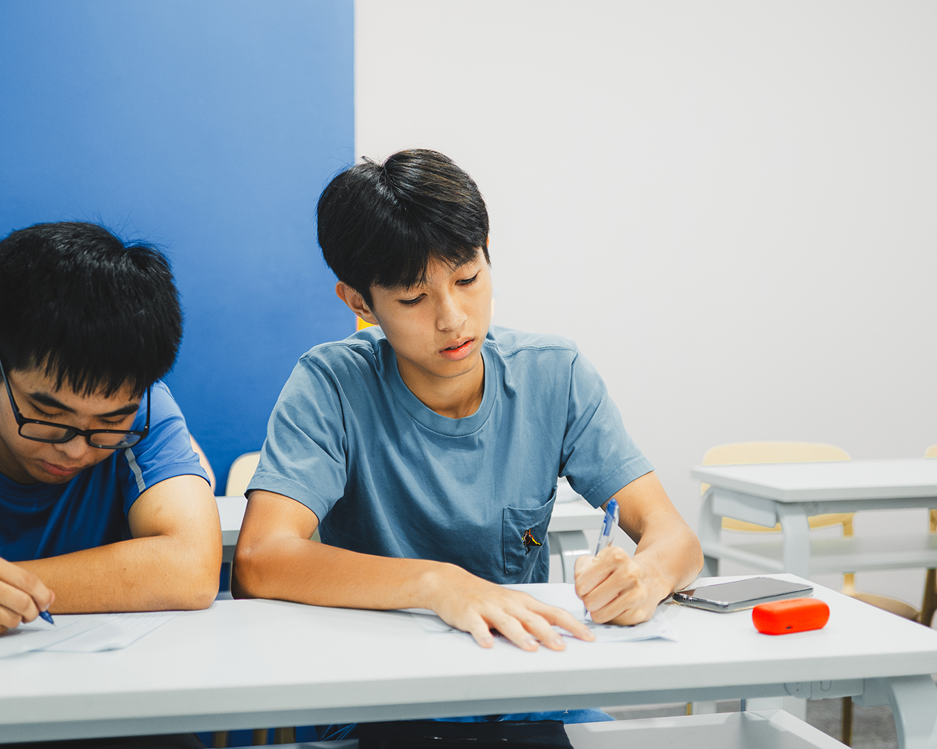 O-Level English Student